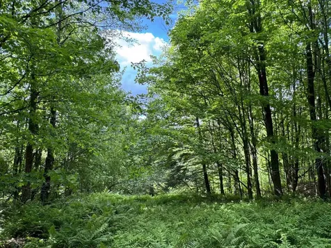 0 Hillside Drive Wilmington VT 05363