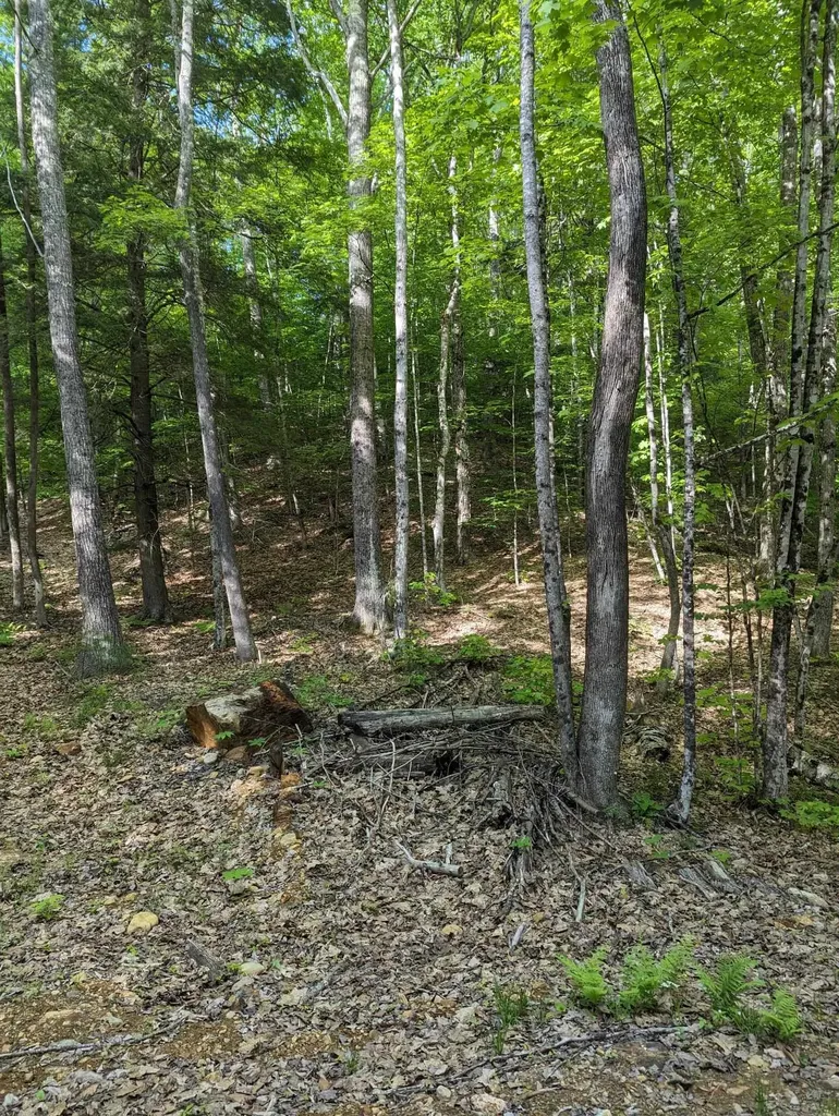 5 Myrtle Street Campton NH 03223