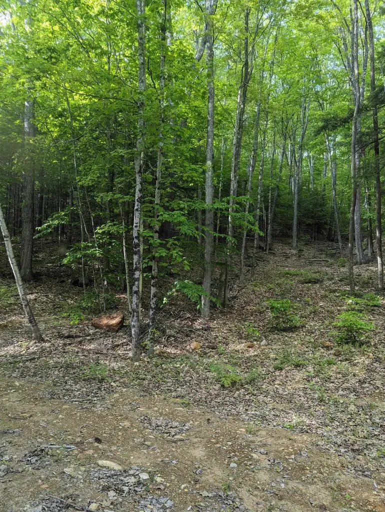 5 Myrtle Street Campton NH 03223