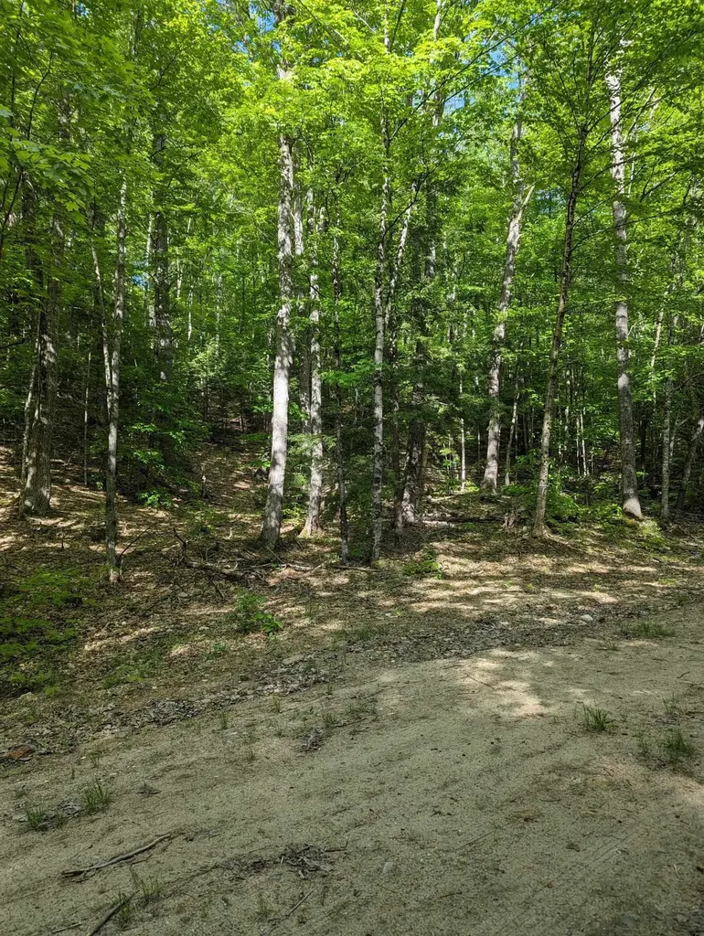 5 Myrtle Street Campton NH 03223