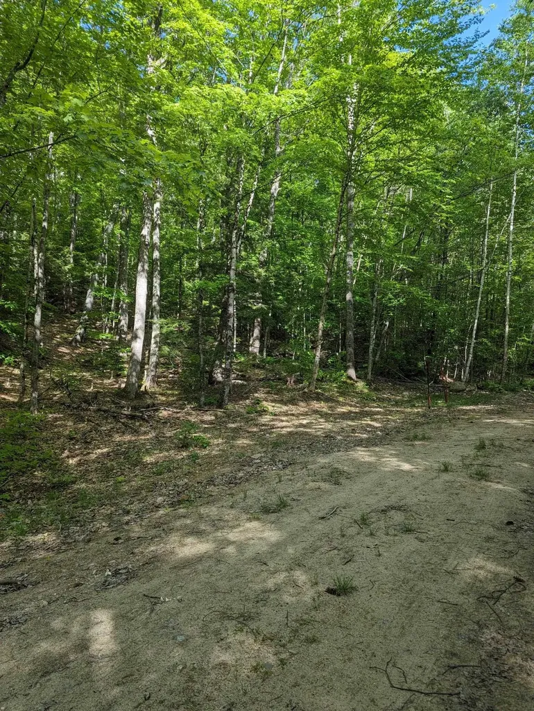 5 Myrtle Street Campton NH 03223