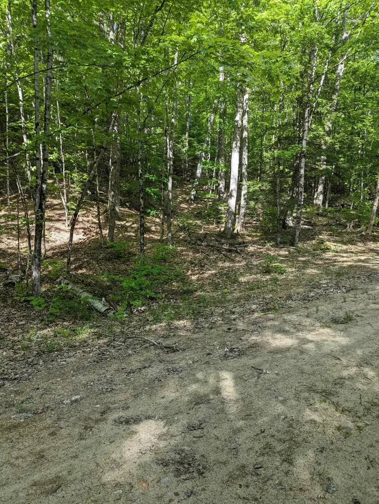 5 Myrtle Street Campton NH 03223