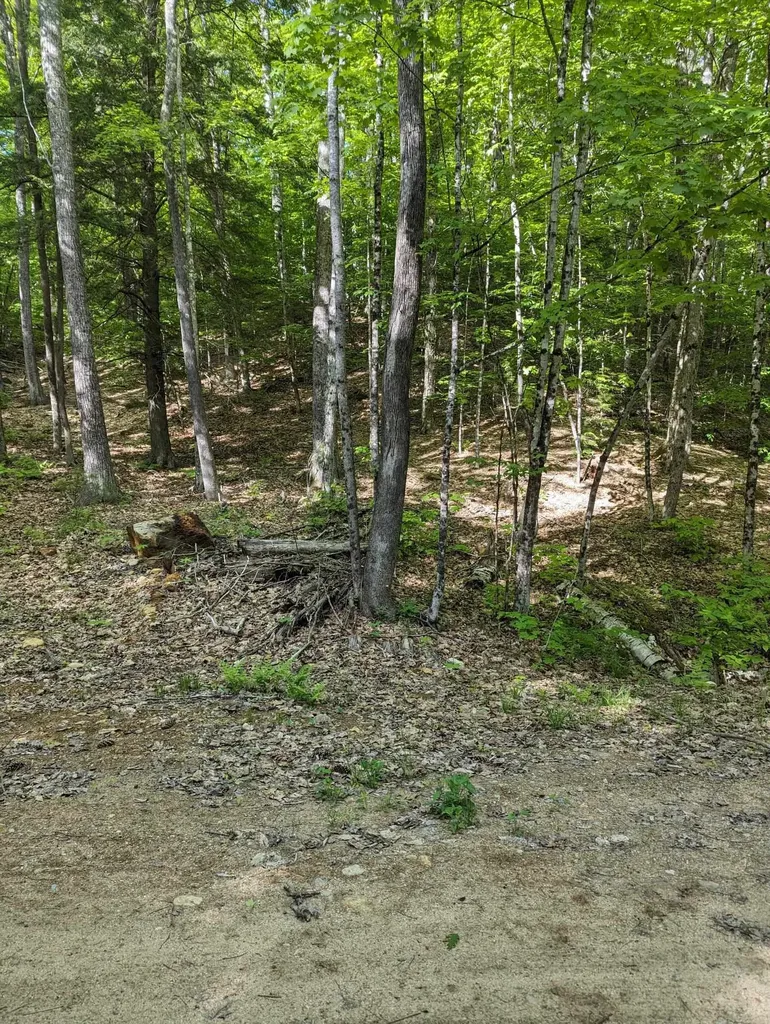 5 Myrtle Street Campton NH 03223