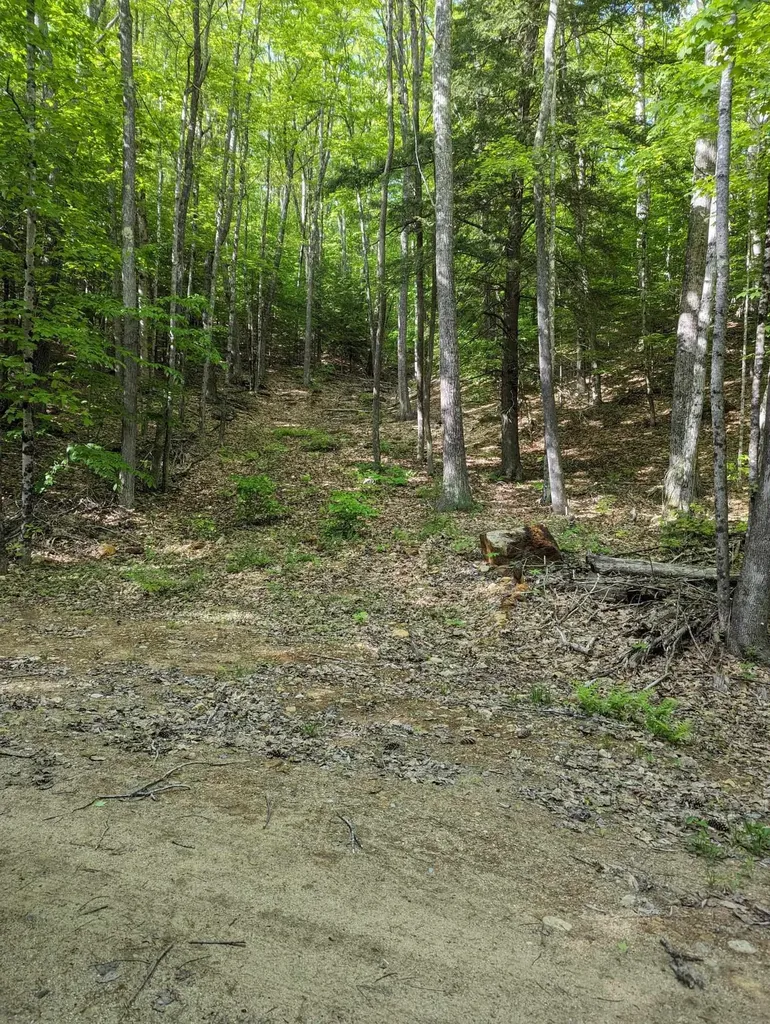 5 Myrtle Street Campton NH 03223