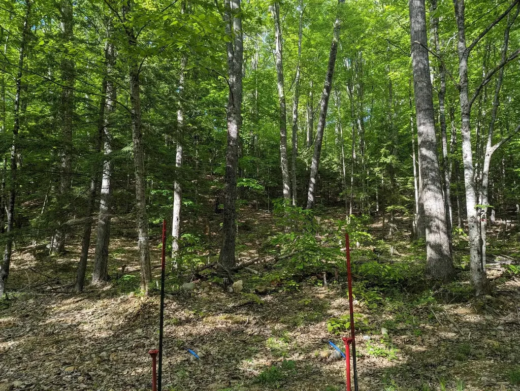 5 Myrtle Street Campton NH 03223