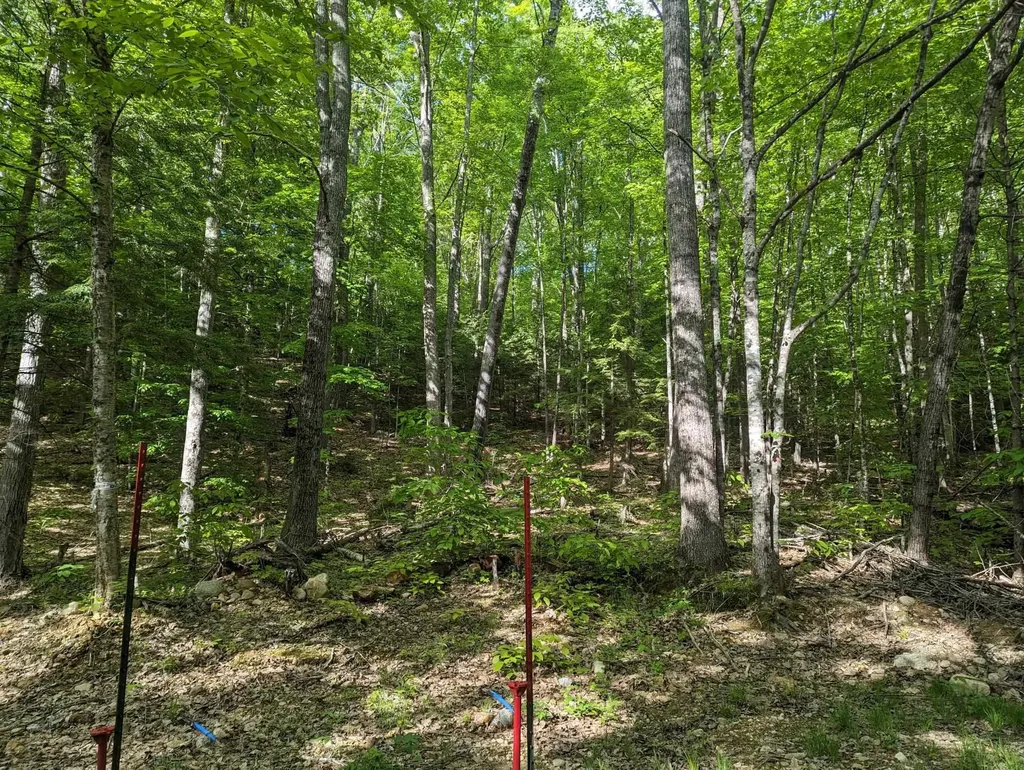 5 Myrtle Street Campton NH 03223