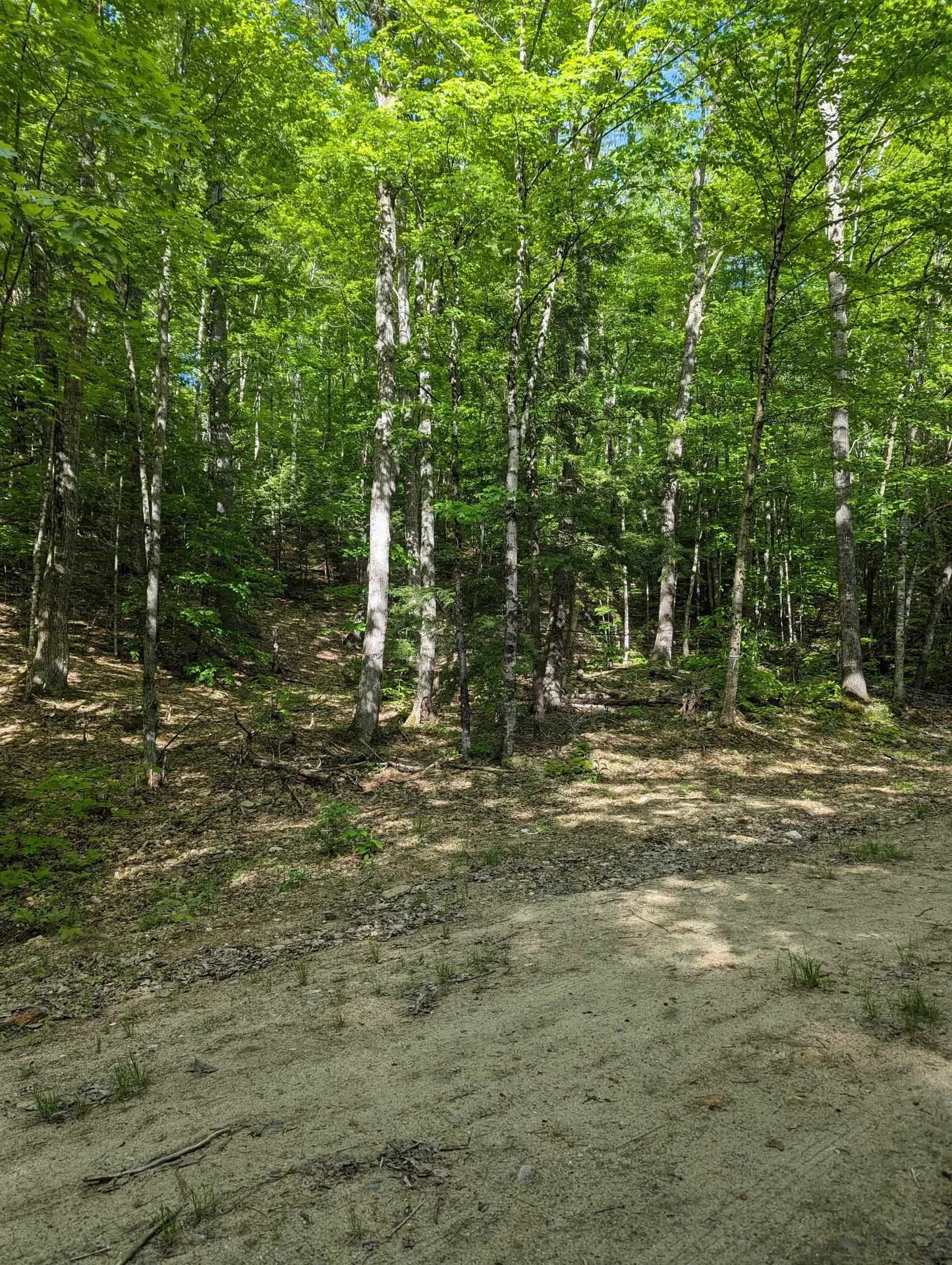 5 Myrtle Street Campton NH 03223