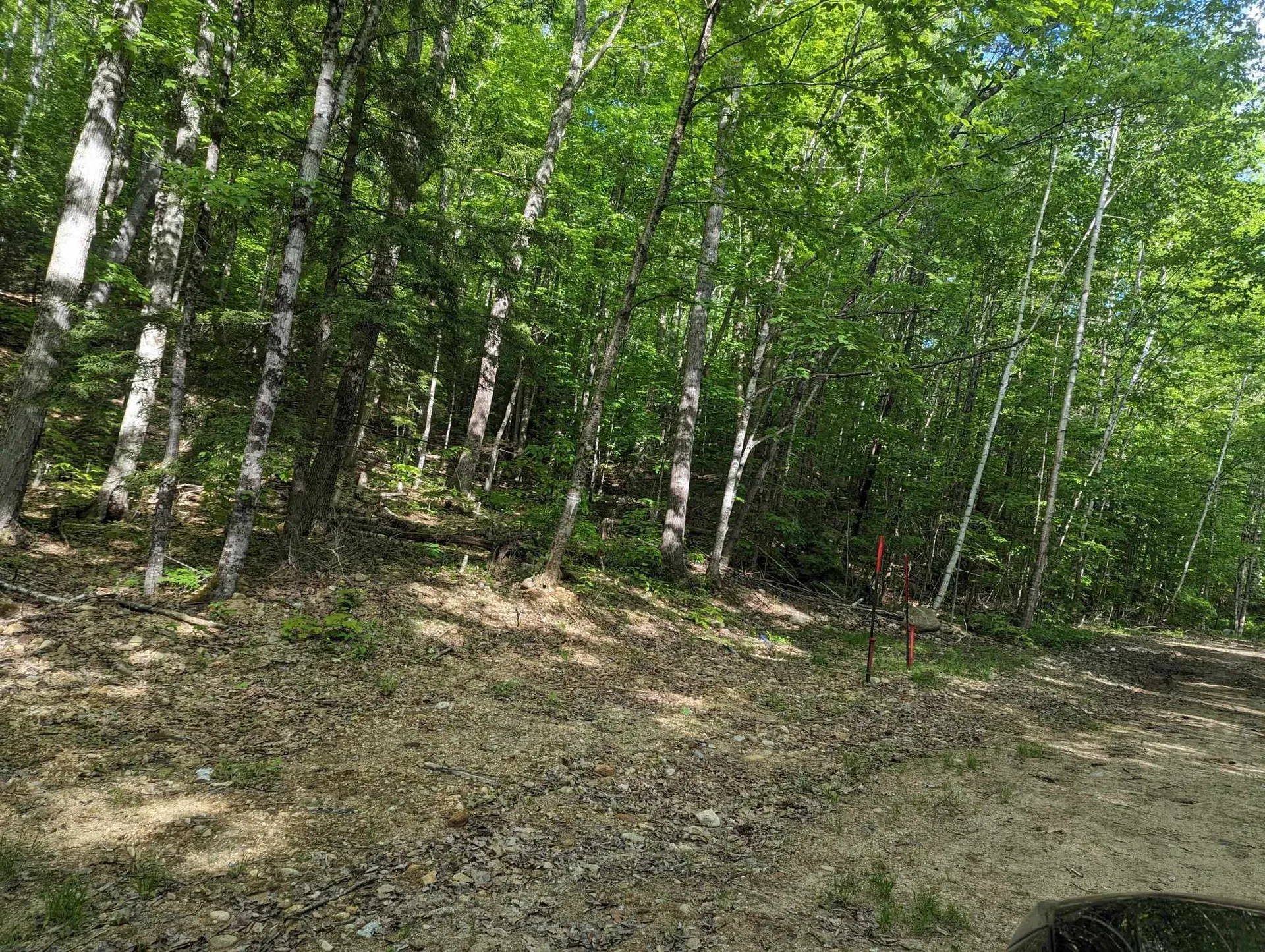 5 Myrtle Street Campton NH 03223