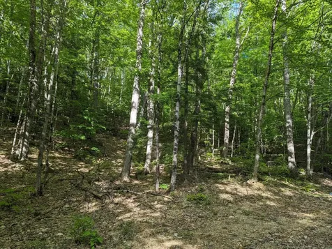 5 Myrtle Street Campton NH 03223