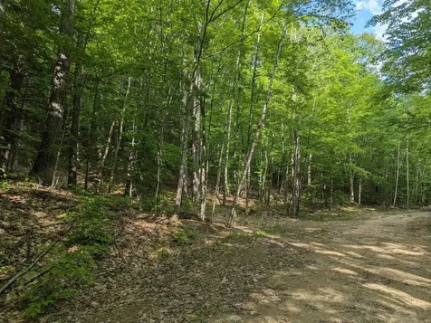 5 Myrtle Street Campton NH 03223