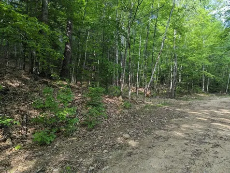 5 Myrtle Street Campton NH 03223