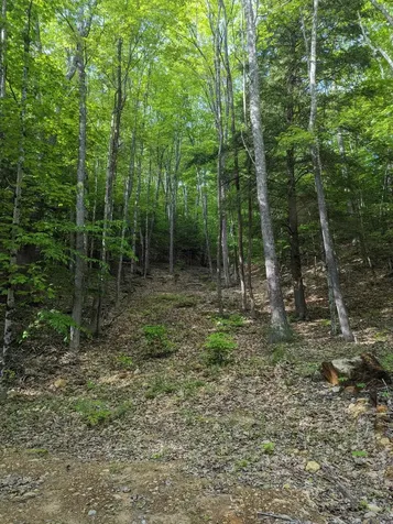 5 Myrtle Street Campton NH 03223