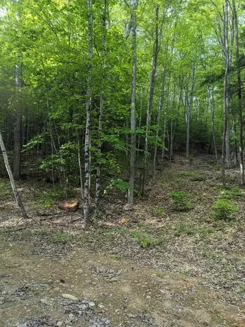 5 Myrtle Street Campton NH 03223