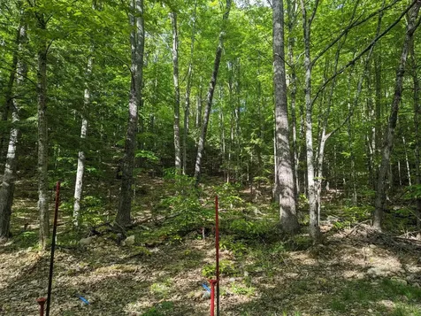 5 Myrtle Street Campton NH 03223