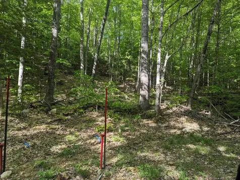 5 Myrtle Street Campton NH 03223