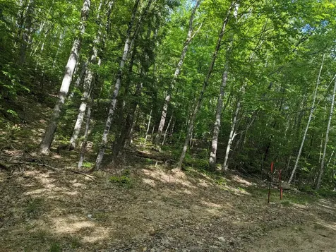 5 Myrtle Street Campton NH 03223