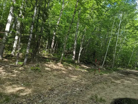 5 Myrtle Street Campton NH 03223