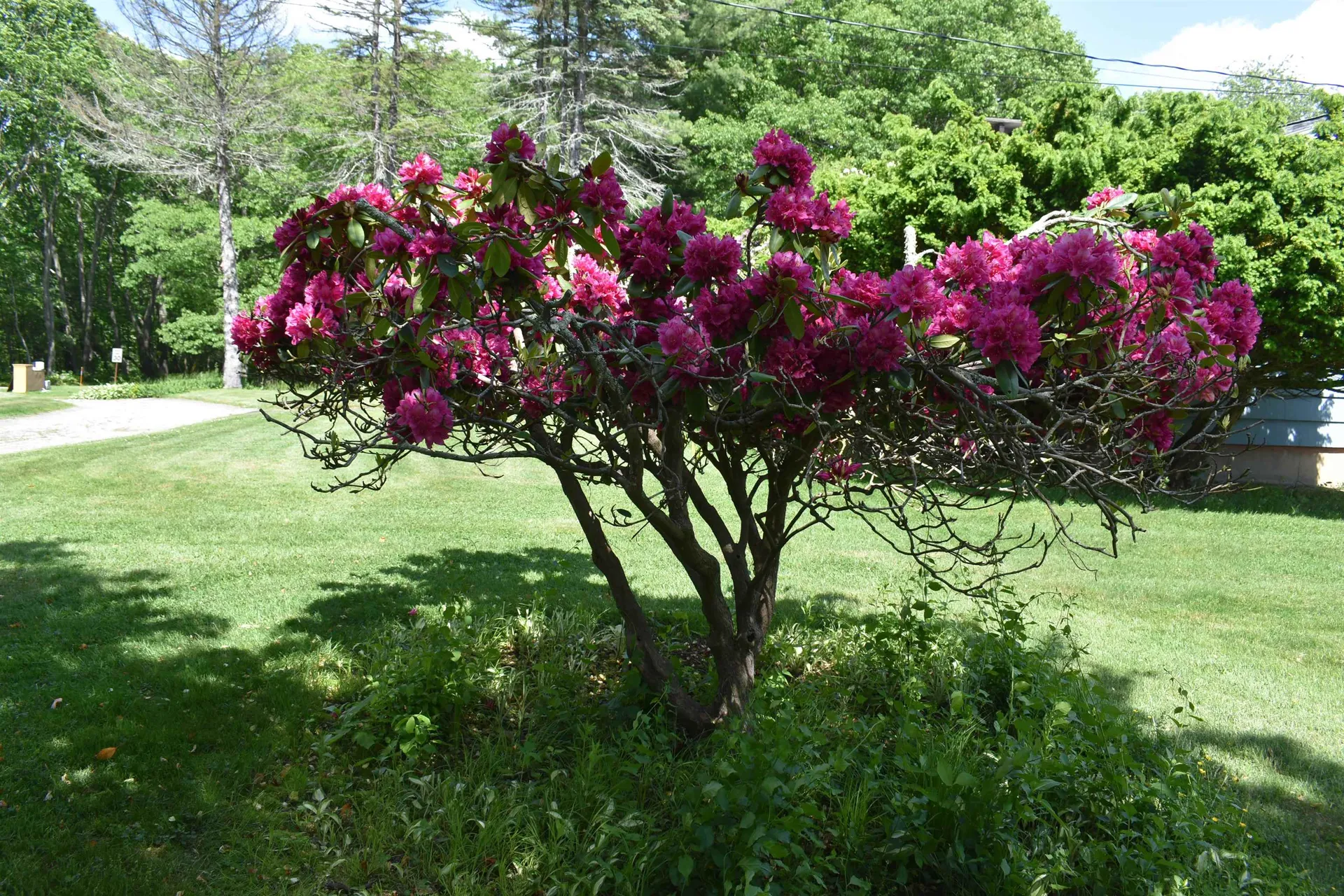 35 Sawyer Avenue Atkinson NH 03811