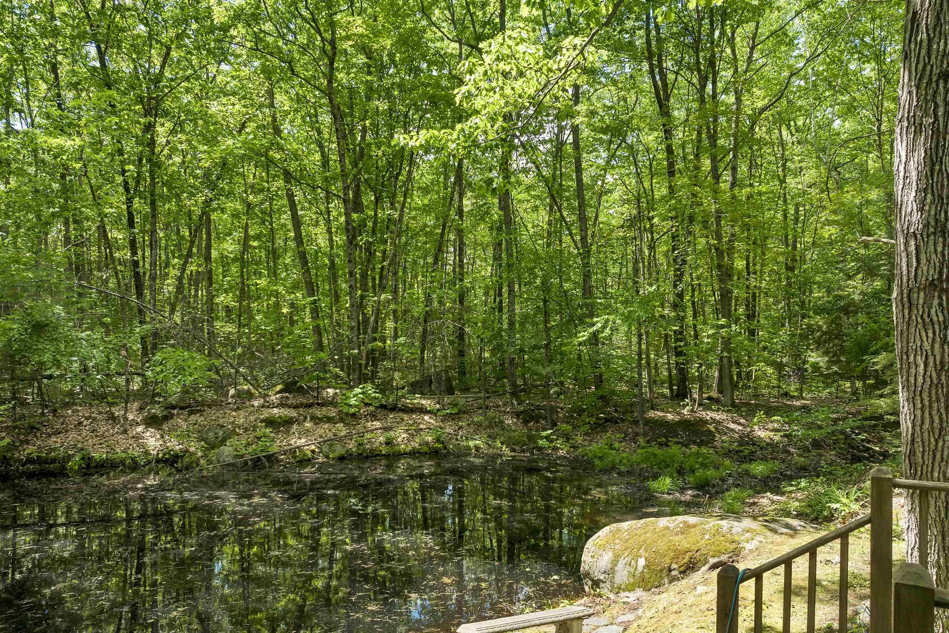6 Senter Cove Road Tuftonboro NH 03816