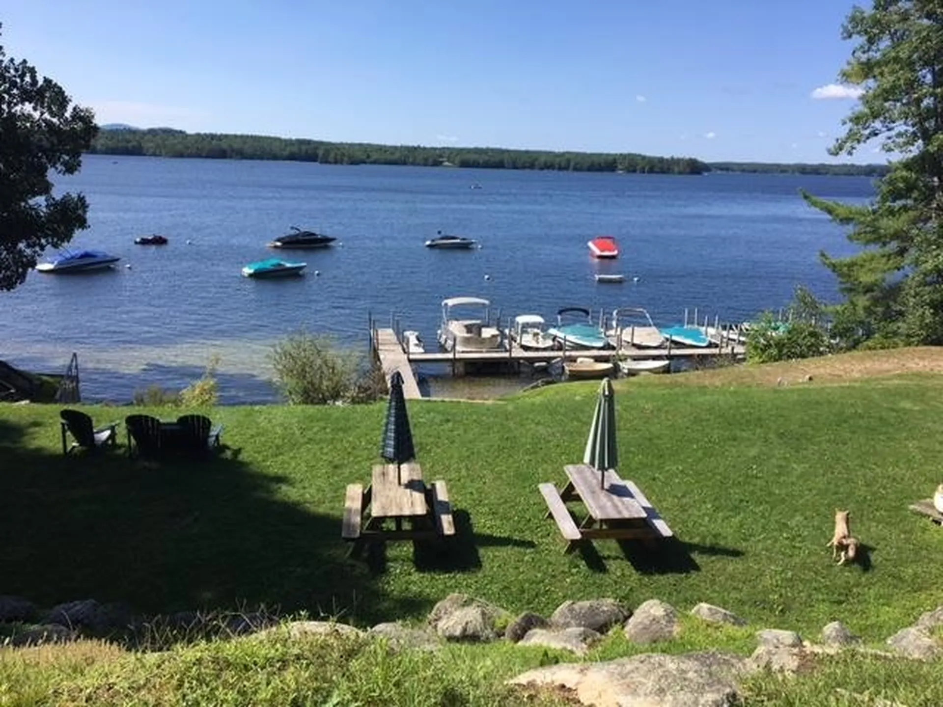 6 Senter Cove Road Tuftonboro NH 03816