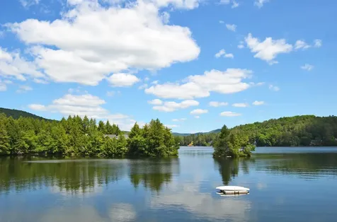 4261 Route 103 Mount Holly VT 05758
