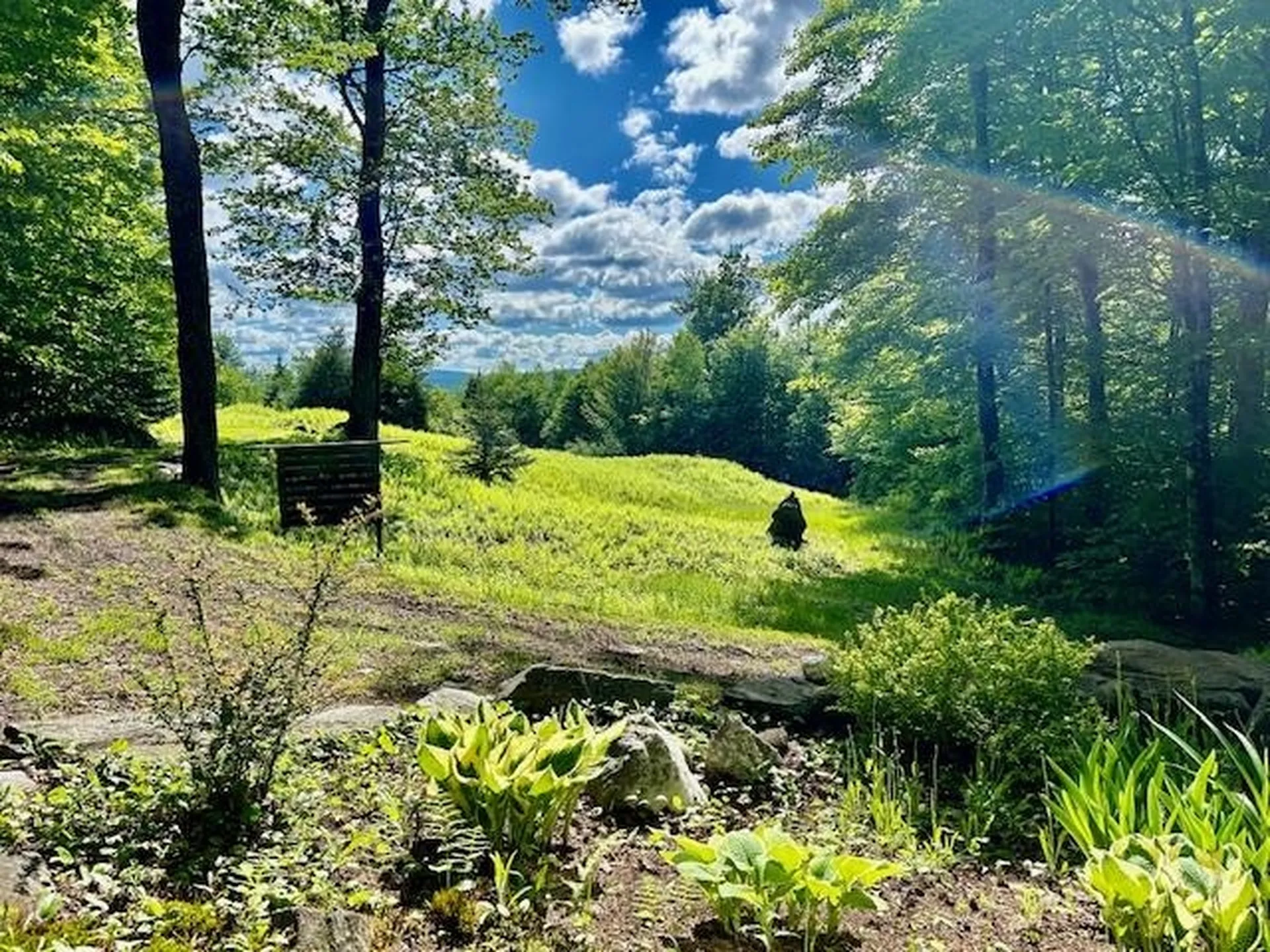 651 Gilbert Street Brookfield VT 05036