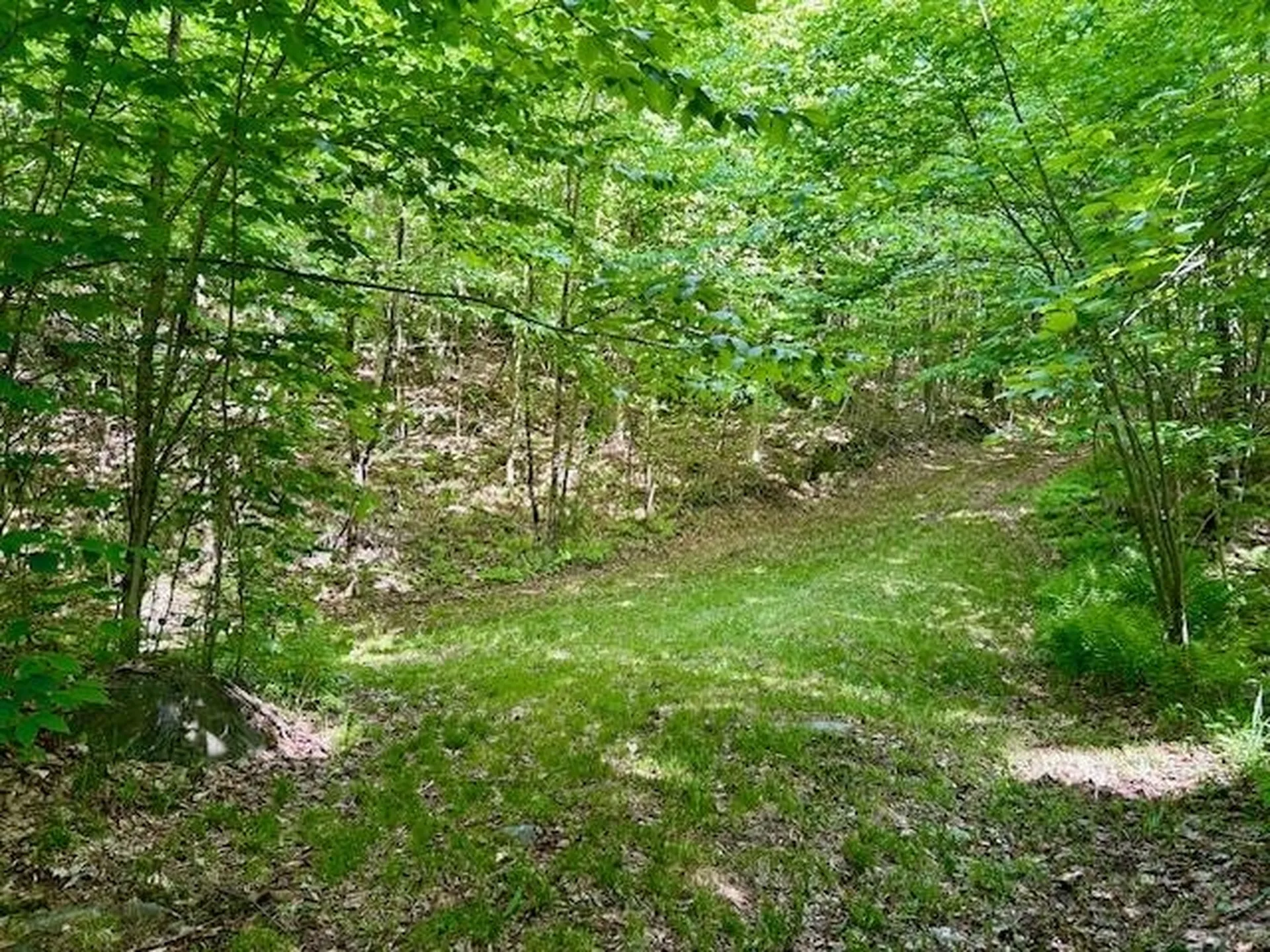 651 Gilbert Street Brookfield VT 05036