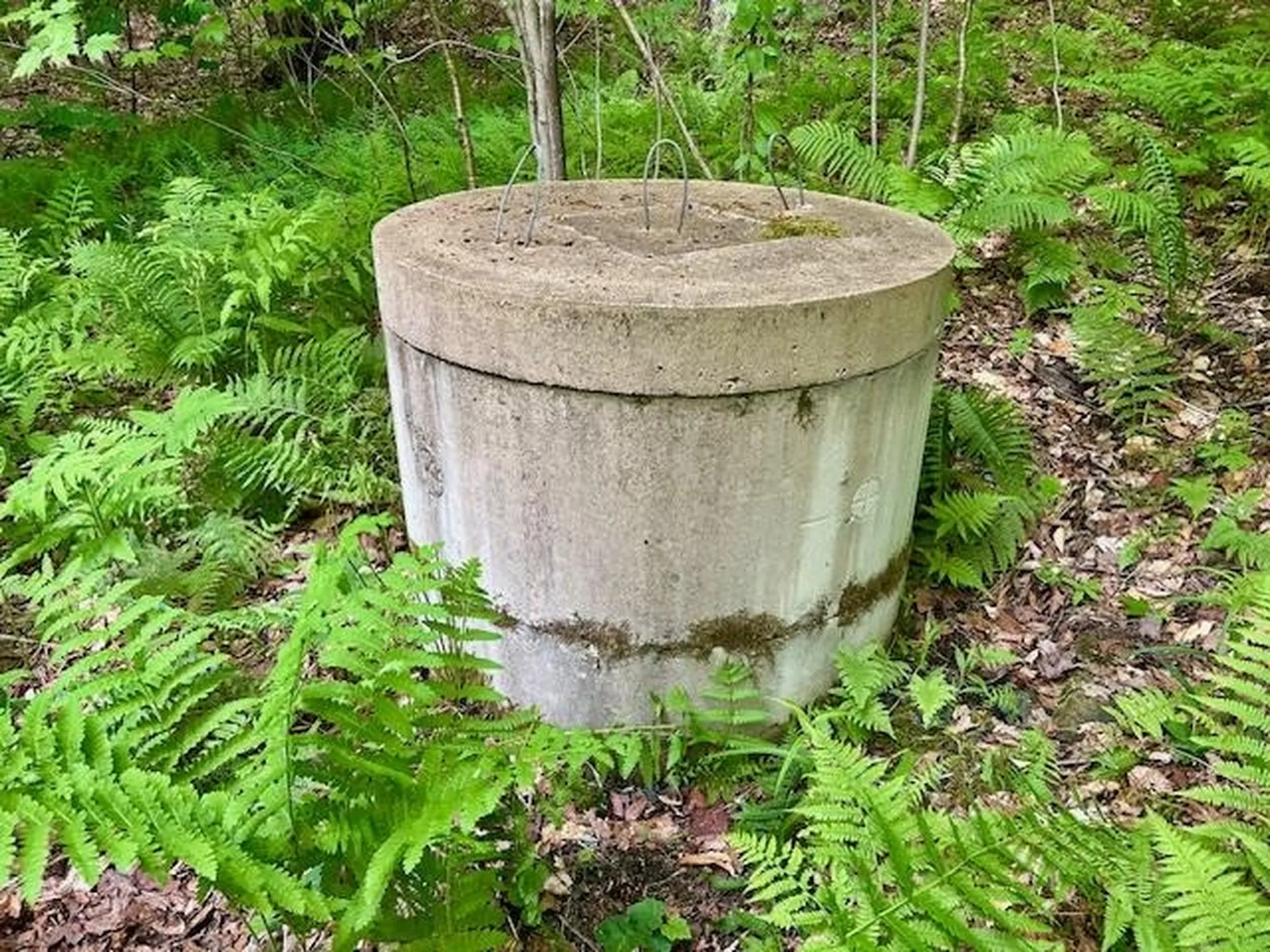 651 Gilbert Street Brookfield VT 05036