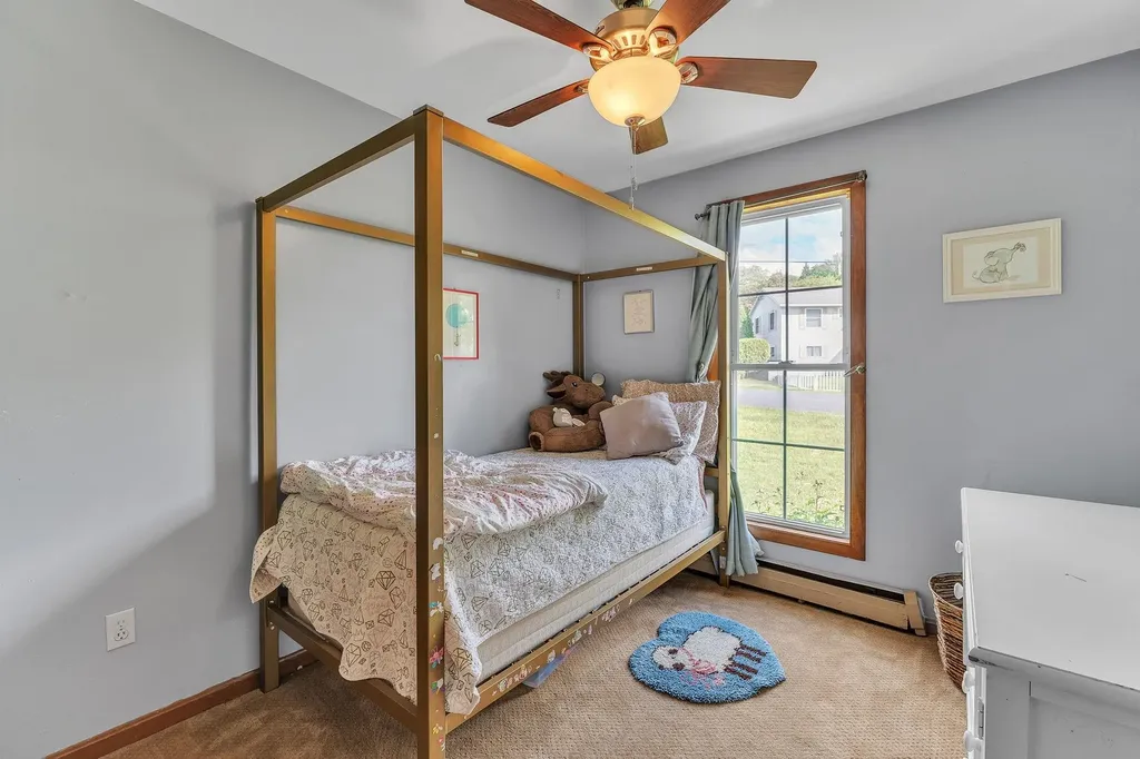 16 Platinum Plain Barre Town VT 05641