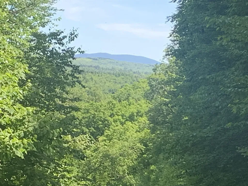 Tbd Off Ridge Road Stewartstown NH 03576