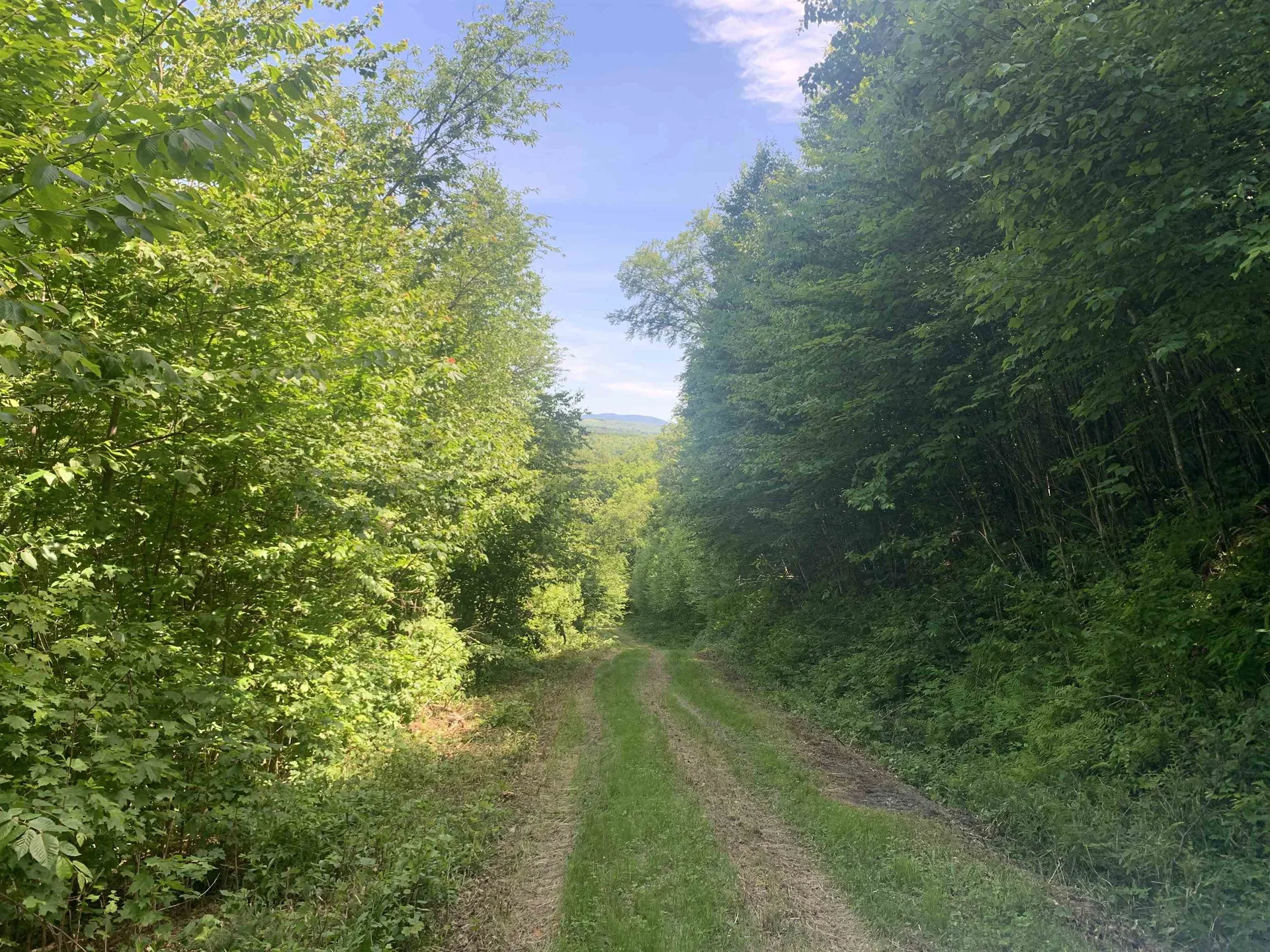 Tbd Off Ridge Road Stewartstown NH 03576