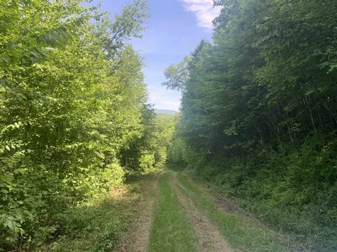Tbd Off Ridge Road Stewartstown NH 03576