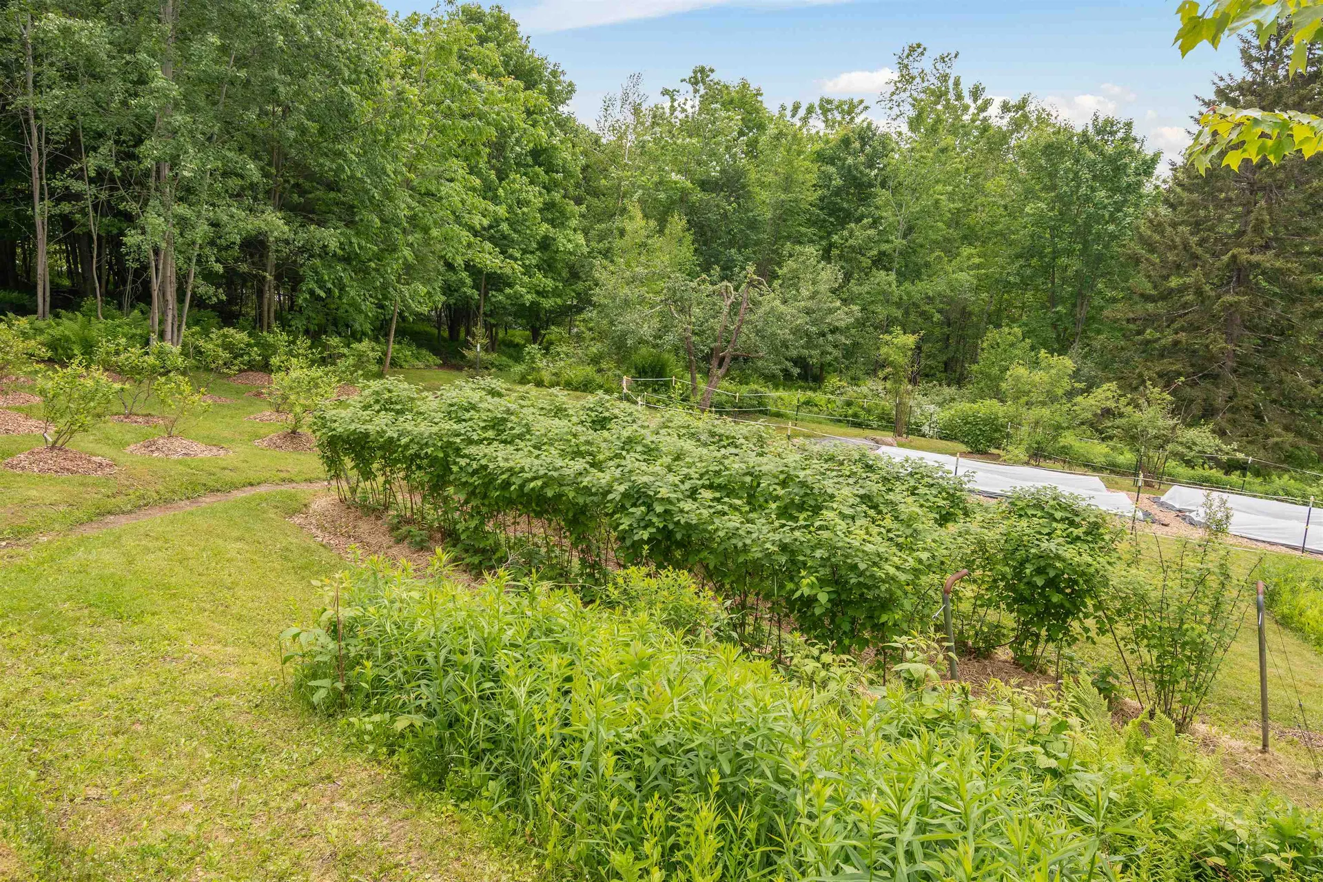 633 Robert Young Road Starksboro VT 05487