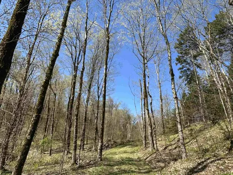 00 Deep Gibou Road Montgomery VT 05471