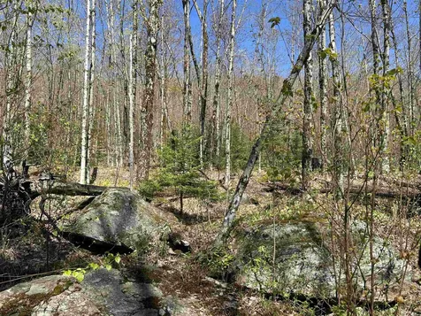 00 Deep Gibou Road Montgomery VT 05471