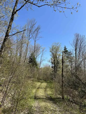 00 Deep Gibou Road Montgomery VT 05471