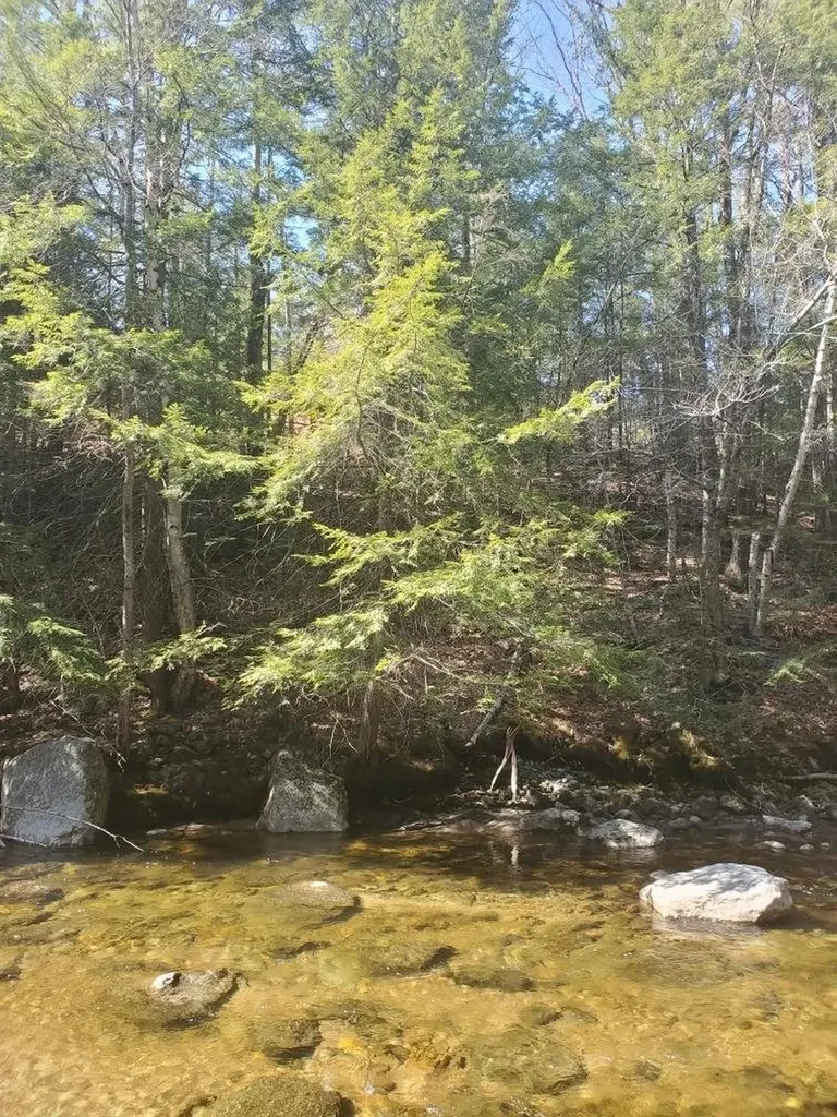 609 South Main Street Newport NH 03773