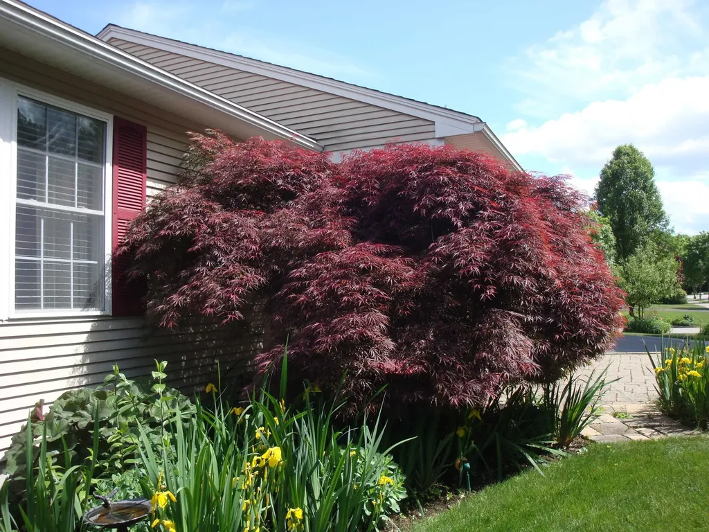 10 Starlight Drive Keene NH 03441