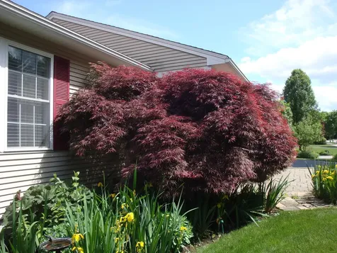10 Starlight Drive Keene NH 03441