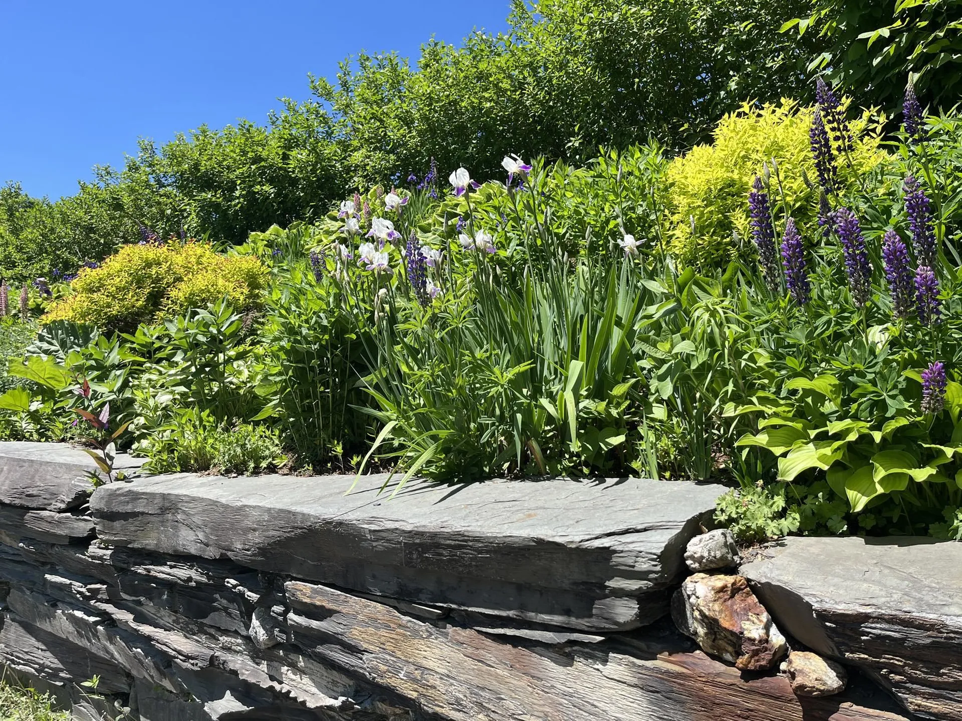 30 Mountainside Drive Warren VT 05674