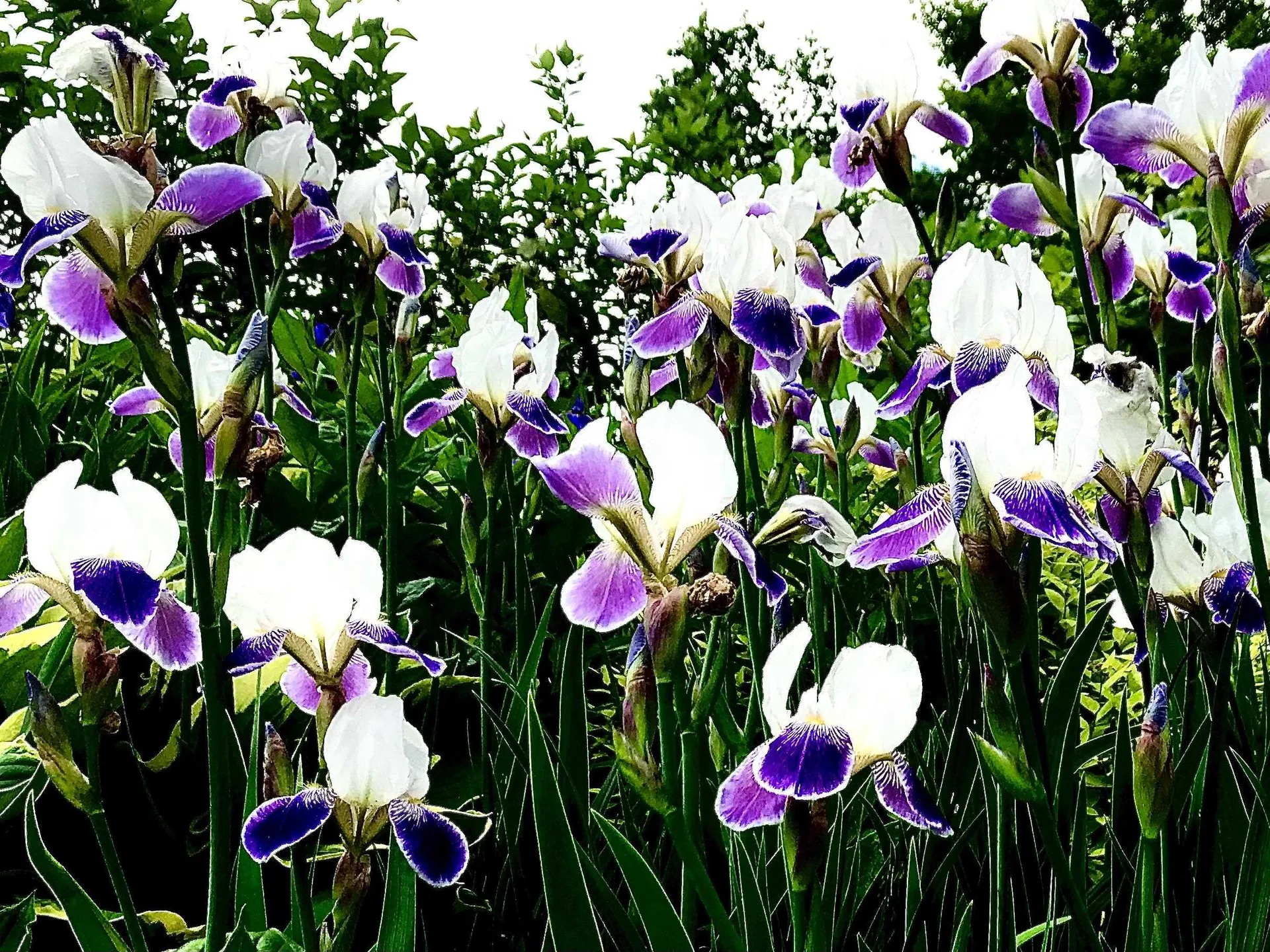 30 Mountainside Drive Warren VT 05674