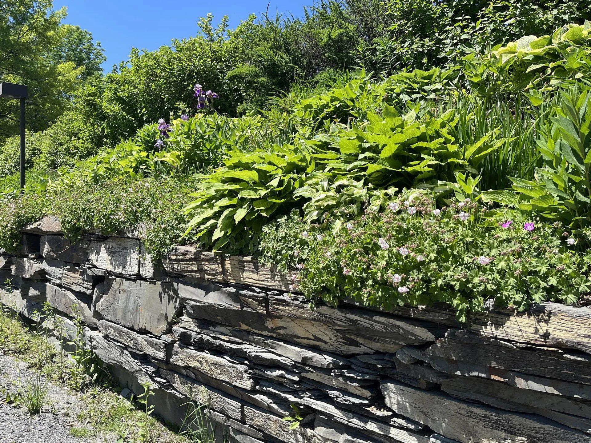 30 Mountainside Drive Warren VT 05674