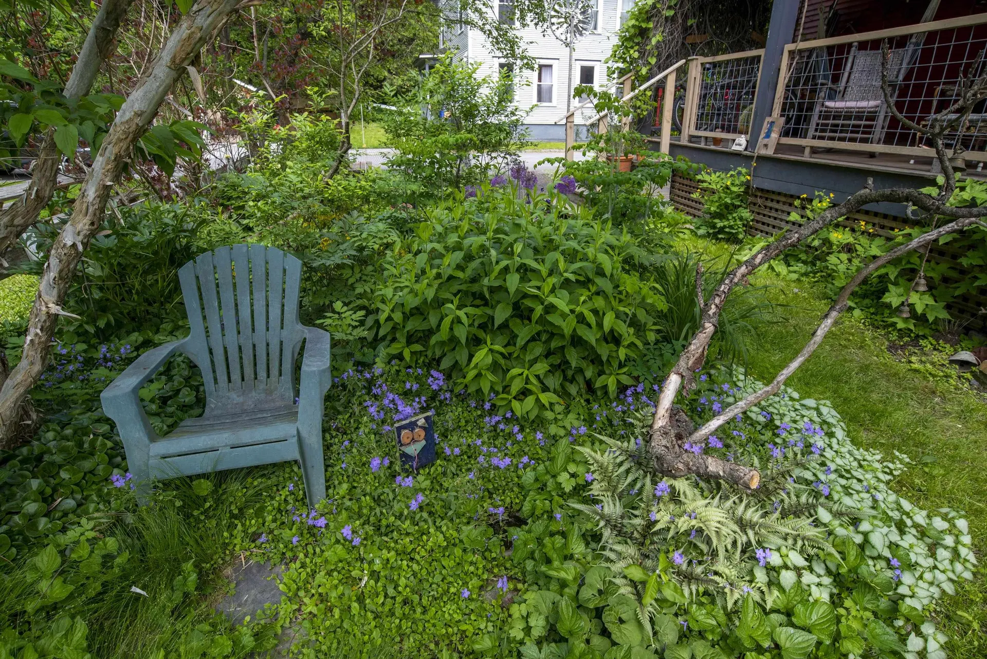 4 Holmes Court Montpelier VT 05602