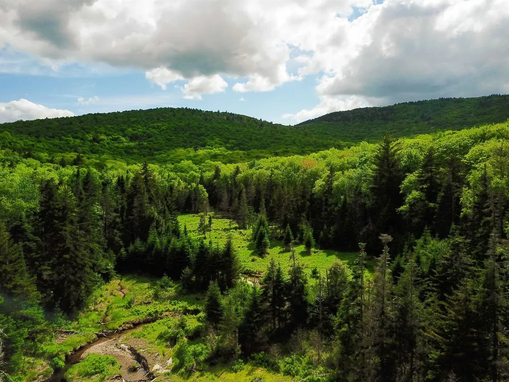 2100 Greendale Road Mount Holly VT 05730