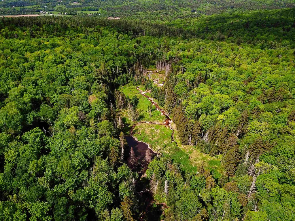 2100 Greendale Road Mount Holly VT 05730