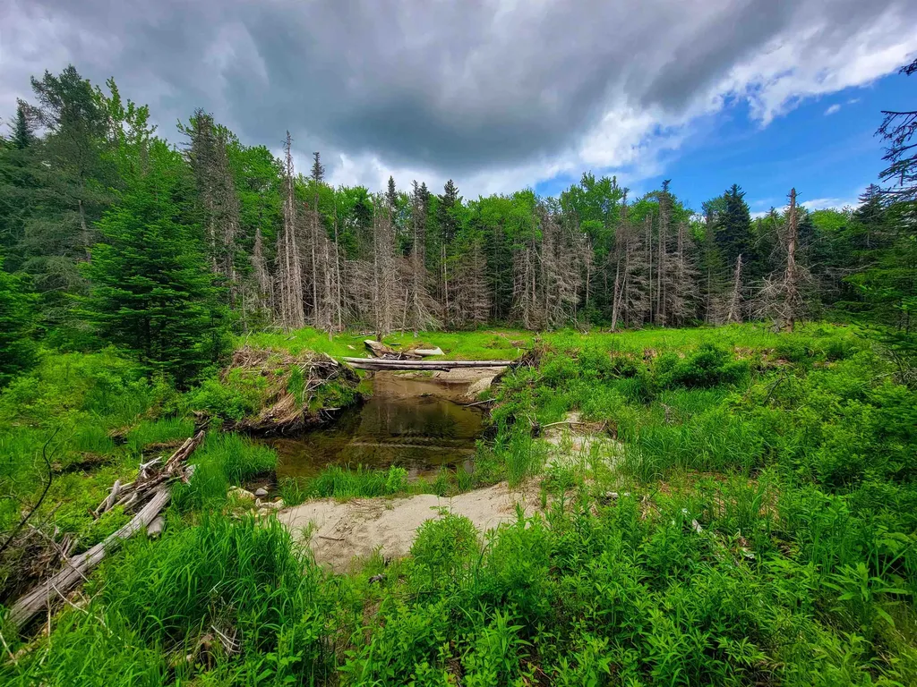 2100 Greendale Road Mount Holly VT 05730