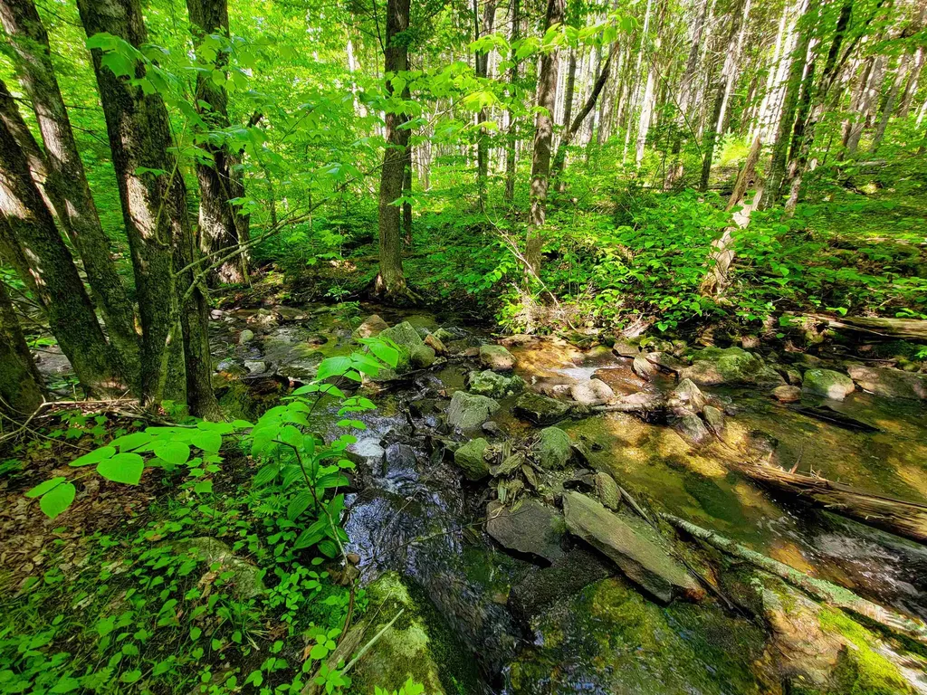 2100 Greendale Road Mount Holly VT 05730