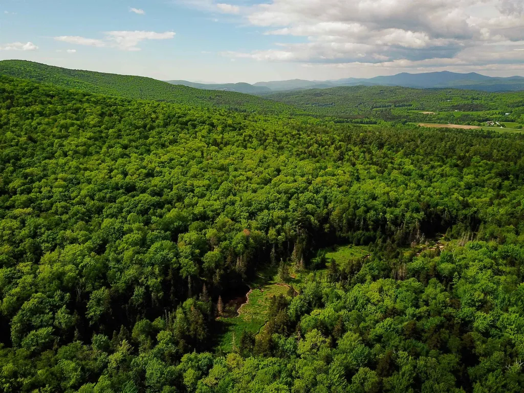 2100 Greendale Road Mount Holly VT 05730