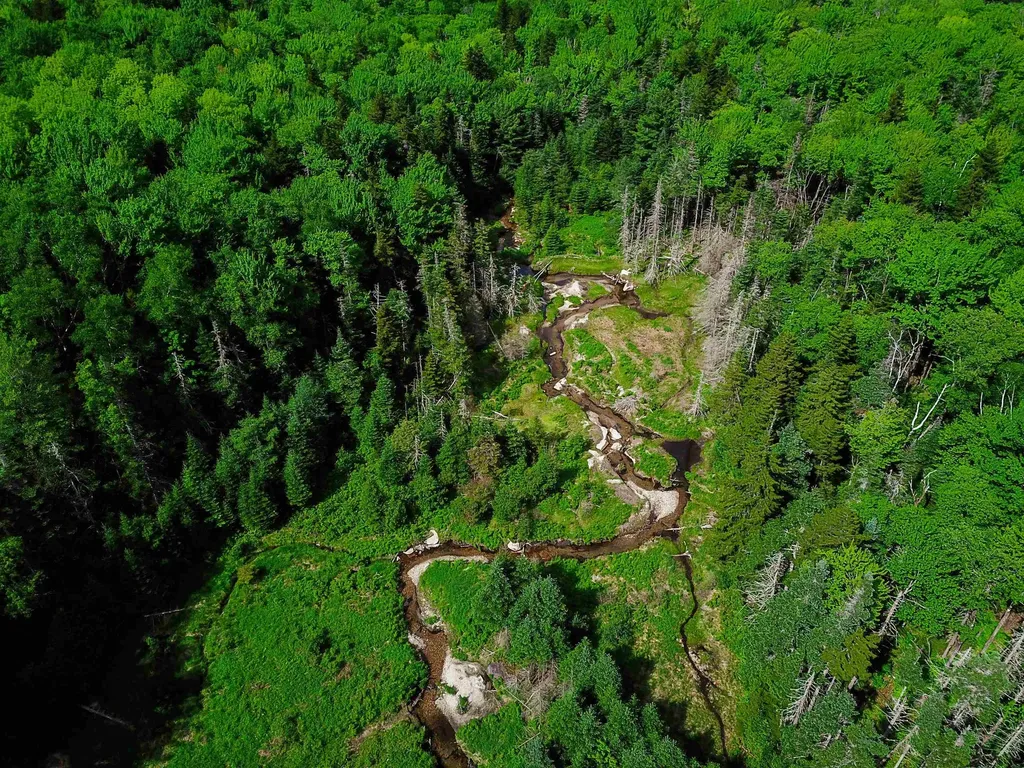 2100 Greendale Road Mount Holly VT 05730