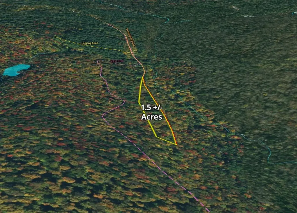 2100 Greendale Road Mount Holly VT 05730